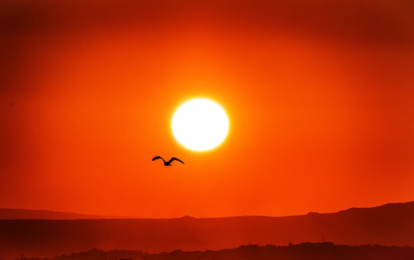 В ЮАР хотят "затемнить" Солнце для борьбы с изменением климата